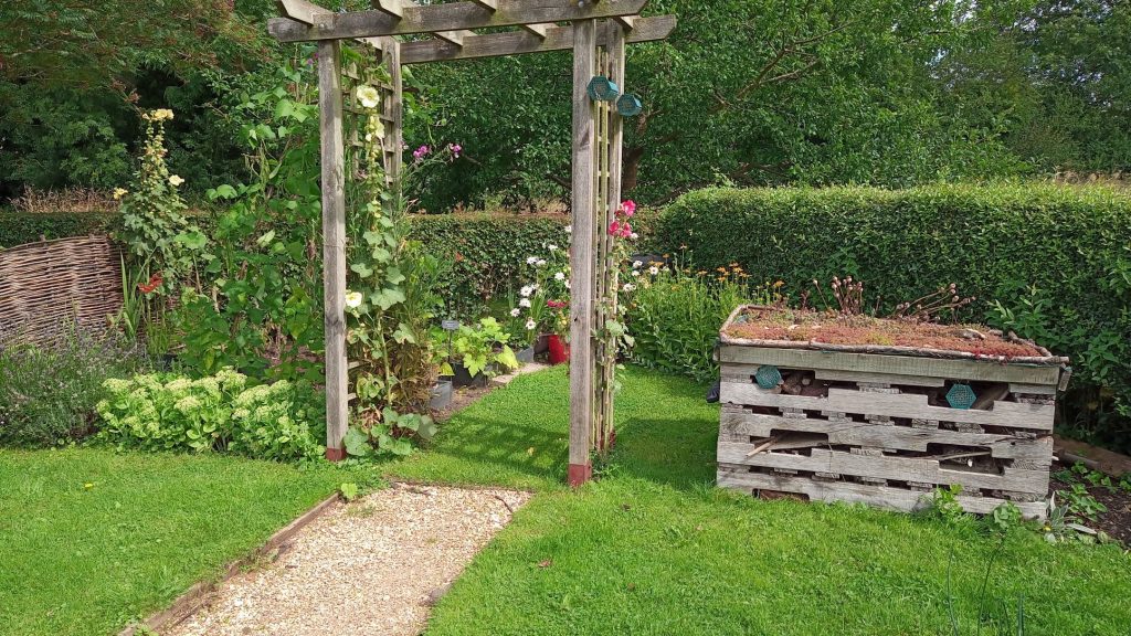 Wildlife garden, 2021