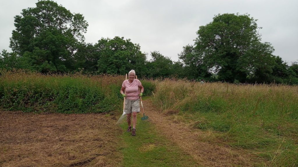 Footpath through Sudbury Meadow